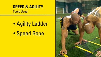 INSANITY THE ASYLUM Vol. 1 - 01 Speed & Agility