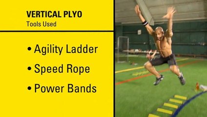 INSANITY THE ASYLUM Vol. 1 - 02 Vertical Plyo