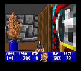Wolfenstein 3D online multiplayer - snes