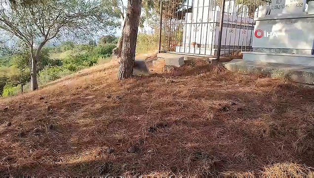 Mezarlıkları uyuşturucu bağımlıları mesken etti