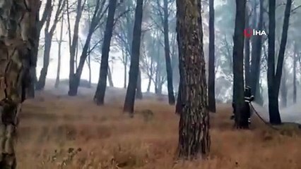 - İtalya'nın Sardunya Adası'nda büyük yangın