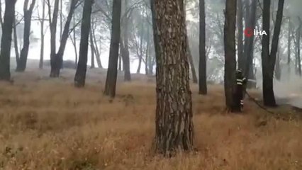 İtalya'nın Sardunya Adası'nda büyük yangın