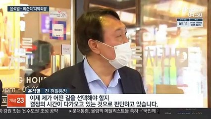윤석열-이준석 '치맥회동'…"결정의 시간 다가와"