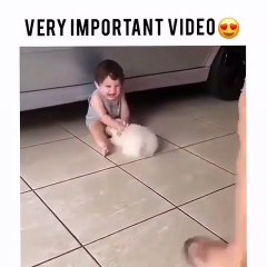 Baby and dog what are u doing?