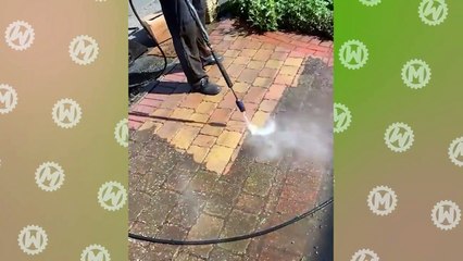 Así Es Como los Profesionales Limpian Profundamente las Cosas