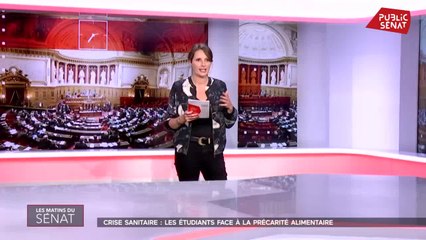 Crise sanitaire : quelles réponses à la détresse des étudiants ? - En séance (18/07/2021)