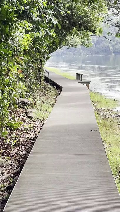 Jungle walk in Singapore 3 | Anthony S Casey Singapore