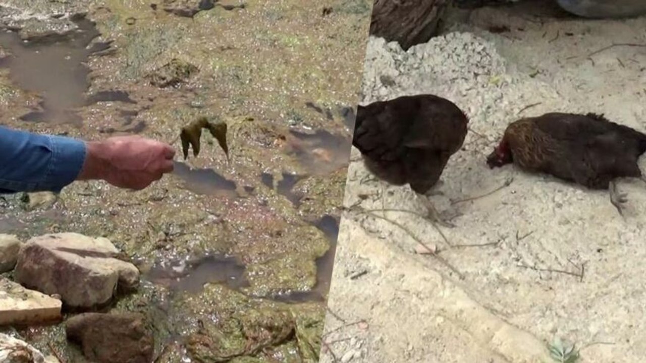 İstanbul’un orta yerinde korkutan manzara