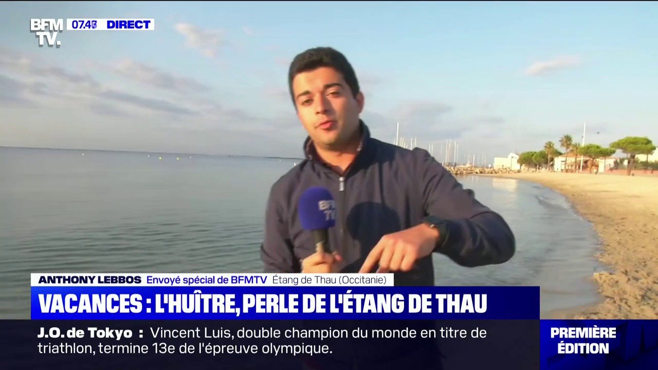 Sur l'étang de Thau, 12.000 tonnes d'huitres cu...