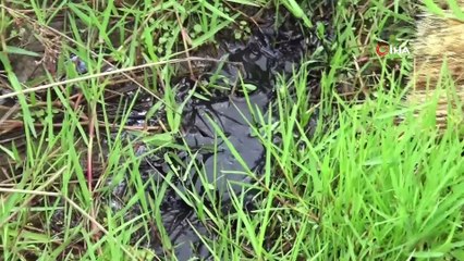 Sultangazi'de Alibeyköy barajına akan dere tehlike saçıyor