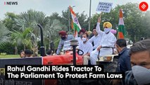 Rahul Gandhi Rides Tractor To The Parliament To Protest Farm Laws