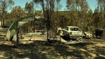 Incêndios no sul da Europa já queimaram milhares de hectares