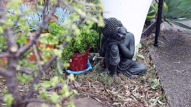 More women reaching out for domestic violence support