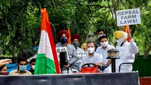 Delhi Police detains Congress’s Randeep Surjewala, Srinivas BV outside Parliament