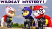 Paw Patrol Moto Pups Wildcat Toy Mystery