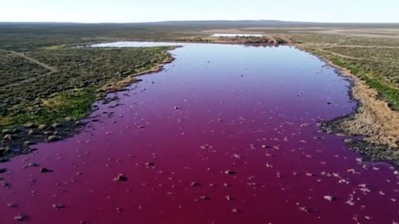 Industrieabfälle verfärben See in Argentinien