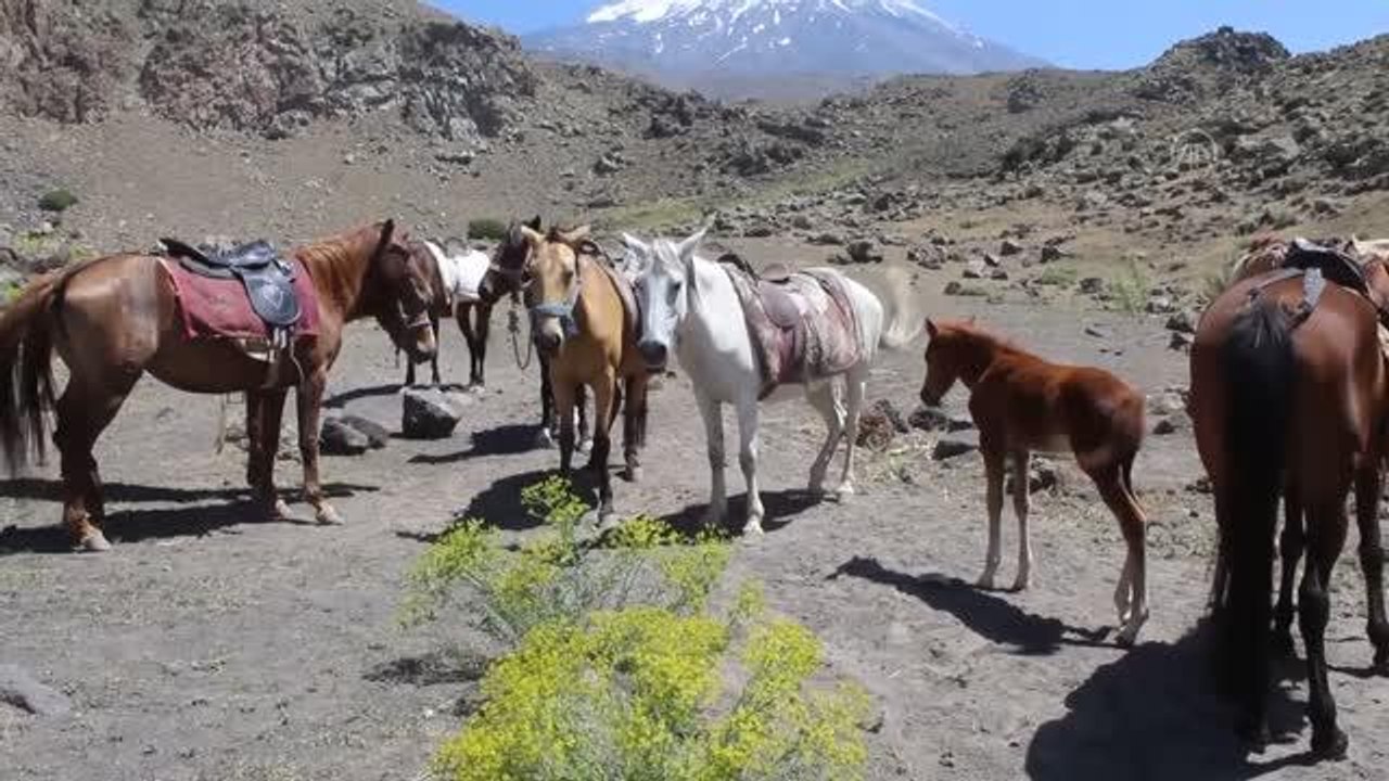 Son dakika haberi: Ağrı Dağı eteklerinde köylüler, tırmanış turizmini "lojistik destekle" kazanca dönüştürdü