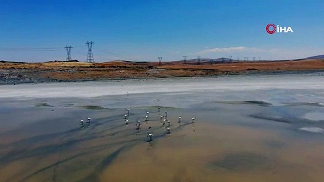 Yalıntaş göleti kuraklığa yenik düştü