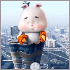 Cute fat bunny eats two servings so funny rabbit