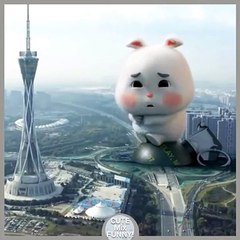 Cute fat rabbit being spoiled so funny rabbit