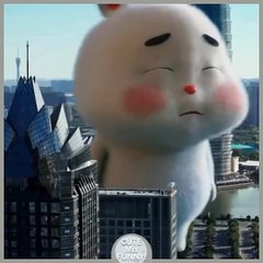 Cute fat bunny crying for candy is so funny rabbit