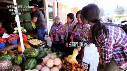 세계테마기행 - 세계 문화 답사기- 미스터리 마야, 멕시코_#003
