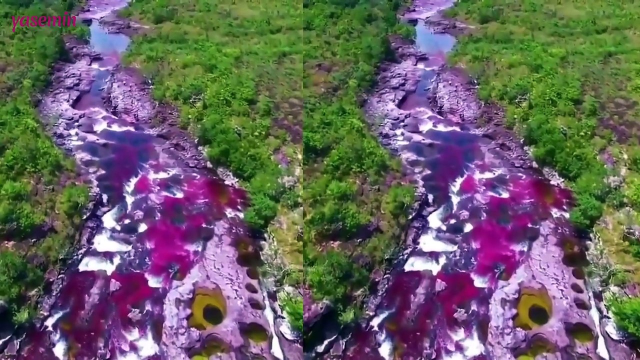 Bu nehir adeta bir gökkuşağı! Cano Cristales gö...