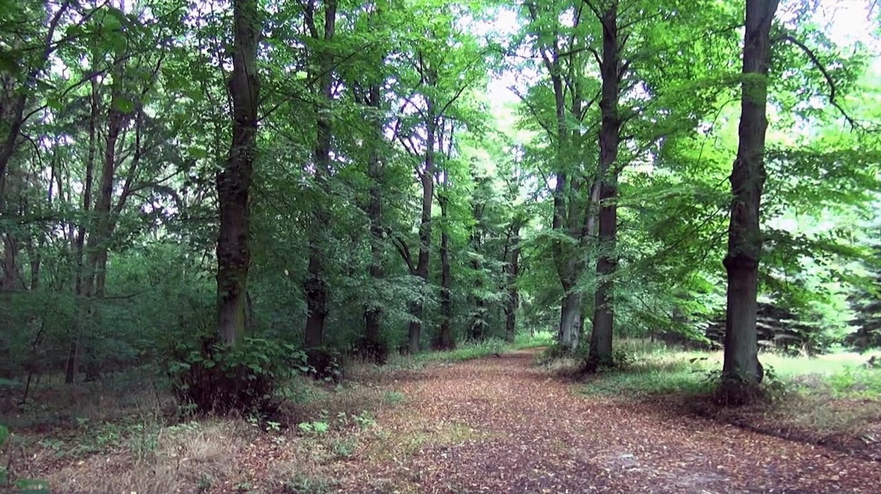 Die Wuhle - eine Naturwanderung (Teil 1)