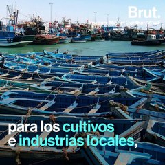 Toda esta zona está en peligro debido al calentamiento global 