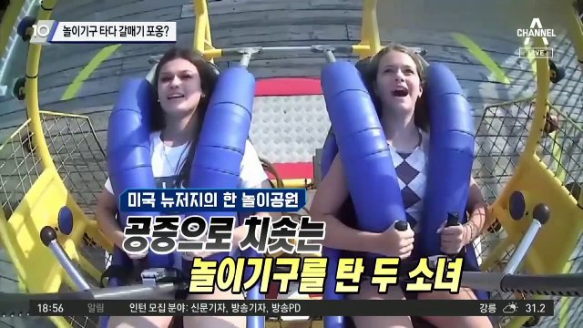 ‘네가 왜 거기서 나와’…놀이기구 타다 갈매기 포옹?