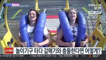 [SNS핫피플] 놀이기구 타다 갈매기와 충돌한다면 어떻게? 外