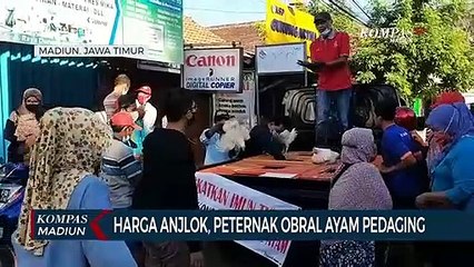 Harga Anjlok, Peternak Obral Ayam Pedaging