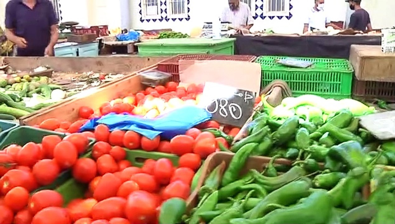 Point Marché au marhé central de tunis du dimanche 25 Juillet 2021