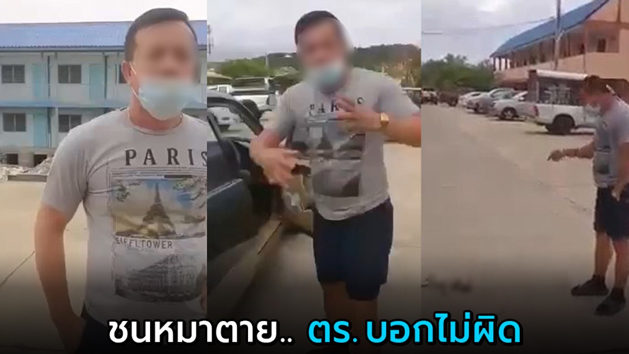 สาวอัดคลิปโวย ลุงขับรถทับหมา ก่อนชดใช้แค่ 1,500...