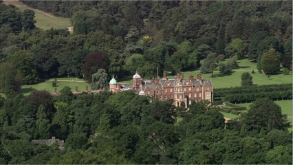 Curlew birds get new home