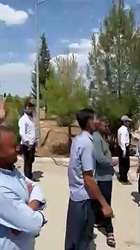 Siverekli çiftçiler: DEDAŞ tarladaki pamuğun, mısırın kurumasını istiyor