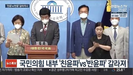 尹, 국민의힘 입당 굳힌듯…친윤 vs 반윤 내홍 조짐