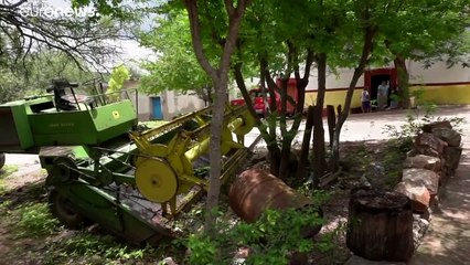 México | Guerra entre cárteles