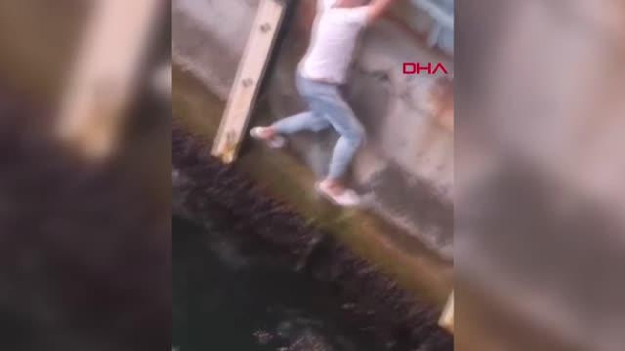 HALİÇ'E DÜŞEN YAVRU KEDİYİ DENİZDEN AYAKLARIYLA ÇIKARDI