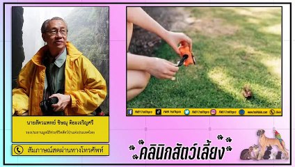 สอนให้สุนัขขับถ่ายให้เป็นที่ ไม่ต้องตามเช็ดอีกต่อไป! : FM91 คลินิกสัตว์เลี้ยง : 12 ธันวาคม 2563
