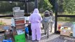 Harrogate and Ripon Beekeepers