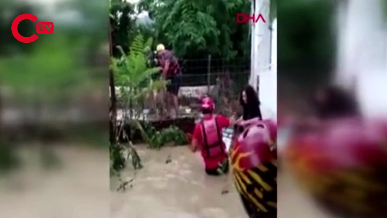 Arhavi ilçesinde selde mahsur kalan köpekler böyle kurtarıldı