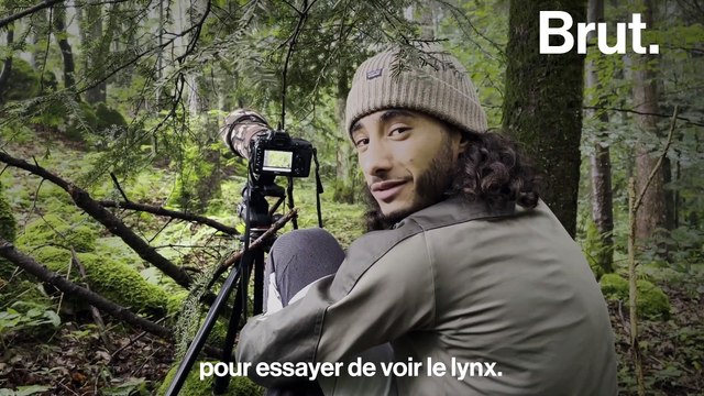 Ilias traque depuis des années le lynx dans le massif du Jura