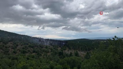 Kastamonu'da ormanlık alanda yangın çıktı