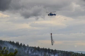 KASTAMONU'DA ORMAN YANGINI; 3 DÖNÜM ALAN ZARAR GÖRDÜ