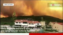 Incendi in Sardegna, roghi ancora attivi: Coldiretti 