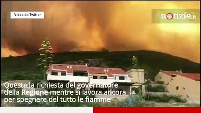 Incendi in Sardegna, roghi ancora attivi: Coldiretti Per ricostruire i boschi ci vorranno 15 anni
