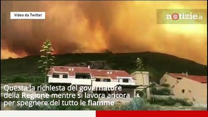 Incendi in Sardegna, roghi ancora attivi: Coldiretti "Per ricostruire i boschi ci vorranno 15 anni"
