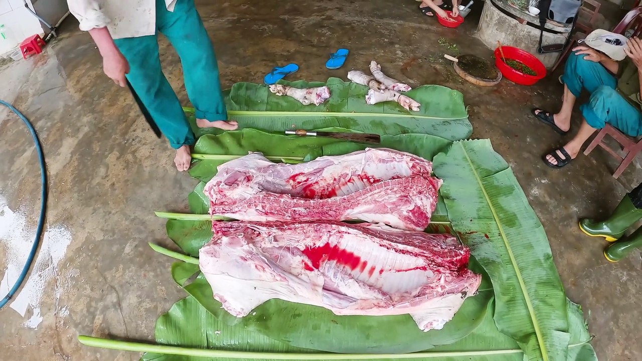 Bắt Con Lợn Đen Siêu Nạc Về Làm Thịt