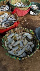 Les pêcheurs de Ziguinchor contre les accords de pêche
